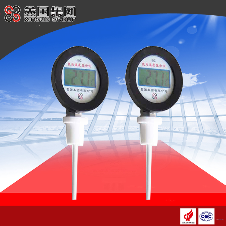 就地溫度顯示儀(含聚四氟塞子)